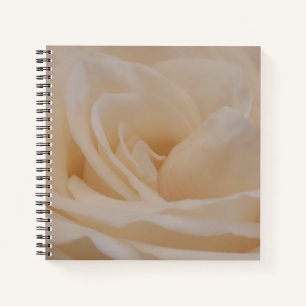 Cremefarbene Rose schließen Notizbuch