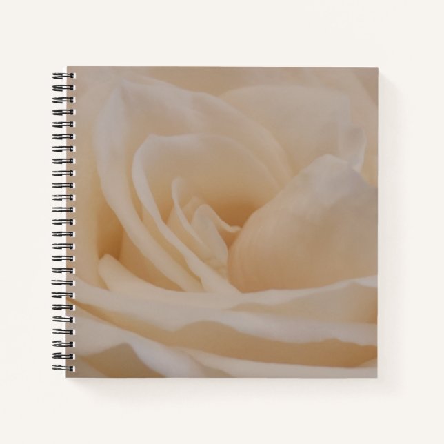 Cremefarbene Rose schließen Notizbuch (Vorderseite)