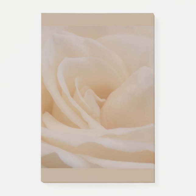 Cremefarbene Rose schließen Post-it Klebezettel (Vorderseite)