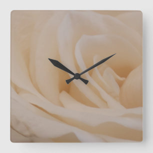 Cremefarbene Rose schließen Quadratische Wanduhr