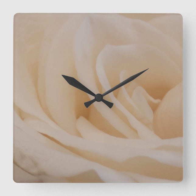 Cremefarbene Rose schließen Quadratische Wanduhr (Vorderseite)