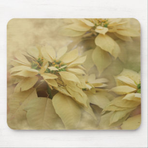 Cremefarbene Weihnachtssterne Digitale Kunst Mousepad
