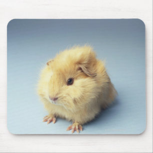 Cremefarbenes Meerschweinchen Mousepad