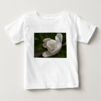 Cremeweiße Magnolia-Blume