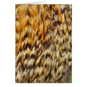 Creole Chicken Feathers