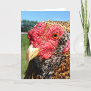 Creole Rooster Karte