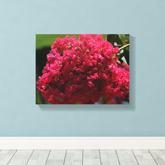 Crepe Myrtle-Blüte Leinwanddruck (Insitu (Holzboden))