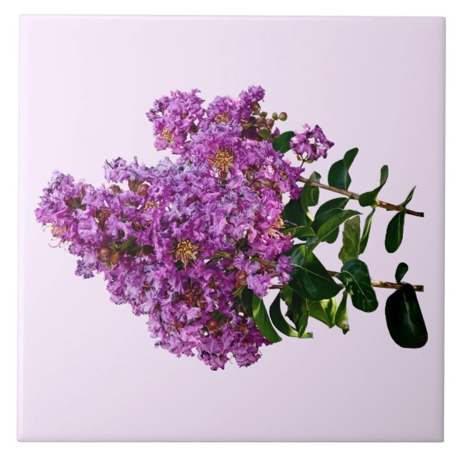 Crepe Myrtle Fliese (Vorderseite)