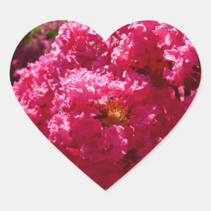 Crepe Myrtle Tree Magenta Floral Herz-Aufkleber