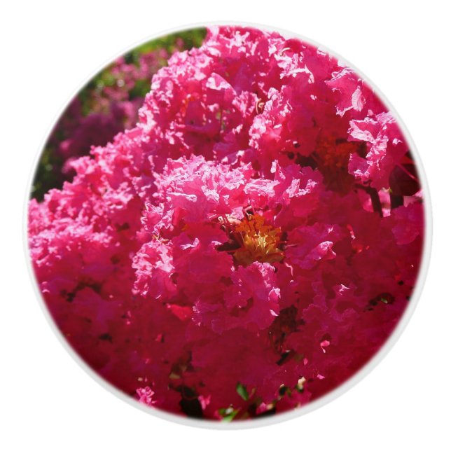Crepe Myrtle Tree Magenta Floral Keramikknauf (Vorderseite)