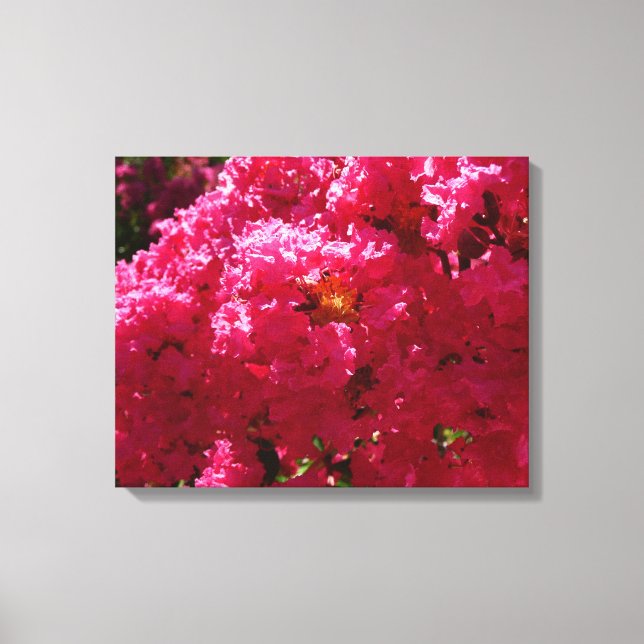 Crepe Myrtle Tree Magenta Floral Leinwanddruck (Vorderseite)