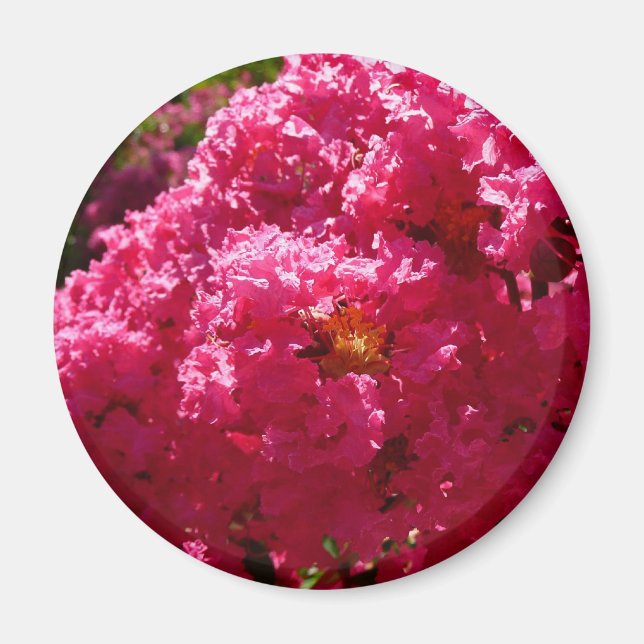 Crepe Myrtle Tree Magenta Floral Magnet (Vorne)