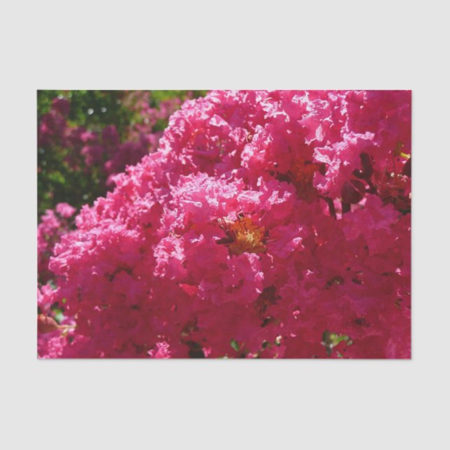 Crepe Myrtle Tree Magenta Floral Seidenpapier (Vorderseite)