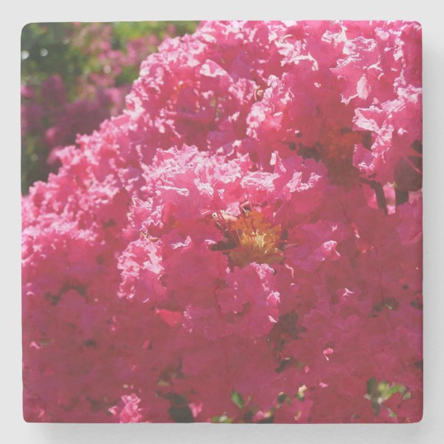 Crepe Myrtle Tree Magenta Floral Steinuntersetzer (Vorderseite)