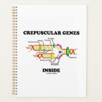 Crepuskuläre Gene im DNA-Spaß