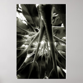 crescendo poster