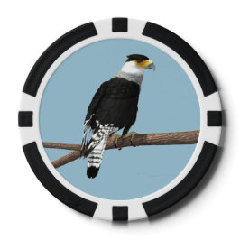 Crested Caracara Clay Poker Chip
