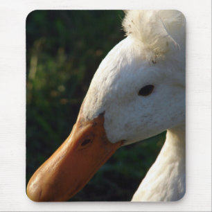 Crested Duck Mousepad