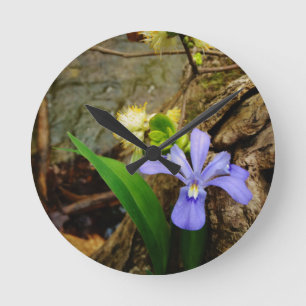 Crested Dwarf Iris blue purple white flower Runde Wanduhr