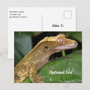 Crested Gecko auf der linken Seite Postkarte