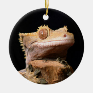 Crested Gecko Lizard auf Schwarzer Keramik Ornamen Keramik Ornament