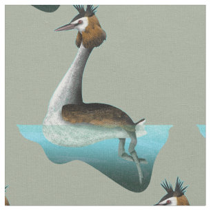 Crested Grebe Stoff