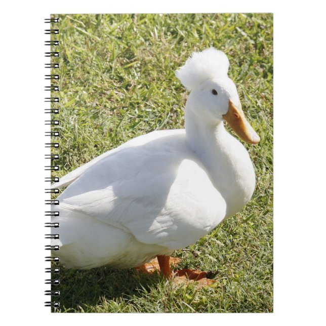 Crested Pekin Duck Spiral Foto Notebook Notizblock (Vorderseite)