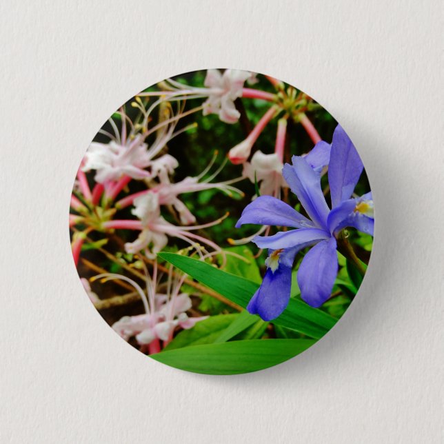 Crested Zwarf Iris Button (Vorderseite)