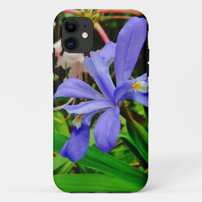 Crested Zwarf Iris Case-Mate iPhone Hülle (Rückseite)