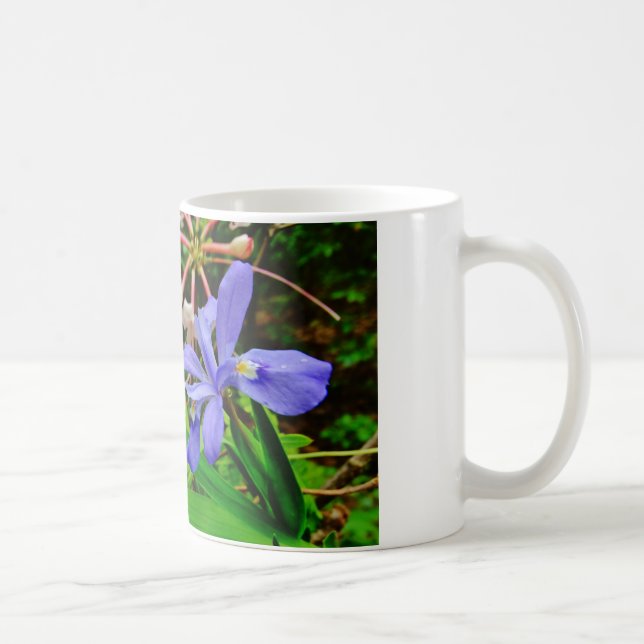 Crested Zwarf Iris Kaffeetasse (Rechts)