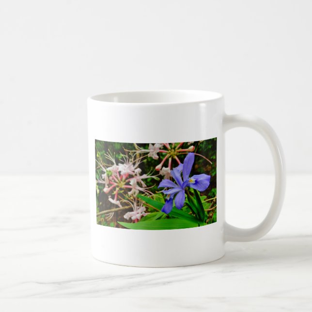 Crested Zwarf Iris Kaffeetasse (Rechts)