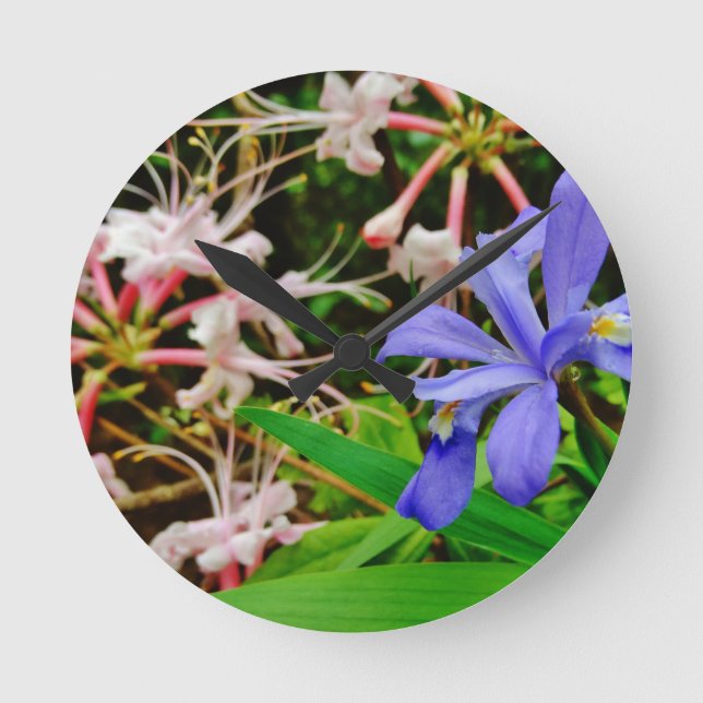 Crested Zwarf Iris Runde Wanduhr (Vorderseite)