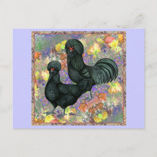 Crevecours und Blume Postkarte