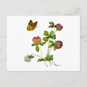 Crewel bestickte irische Klee Postkarte