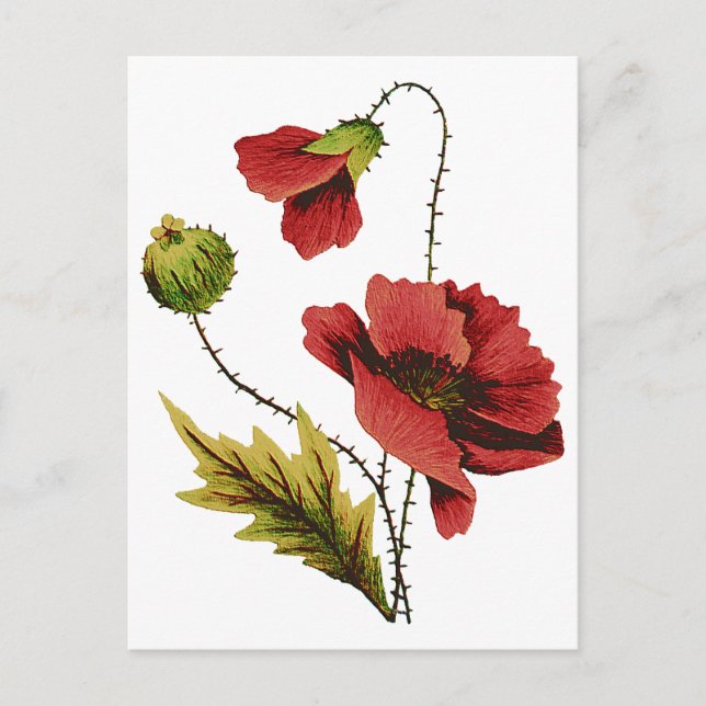 Crewel Embroidery Red Poppy Postkarte (Vorderseite)
