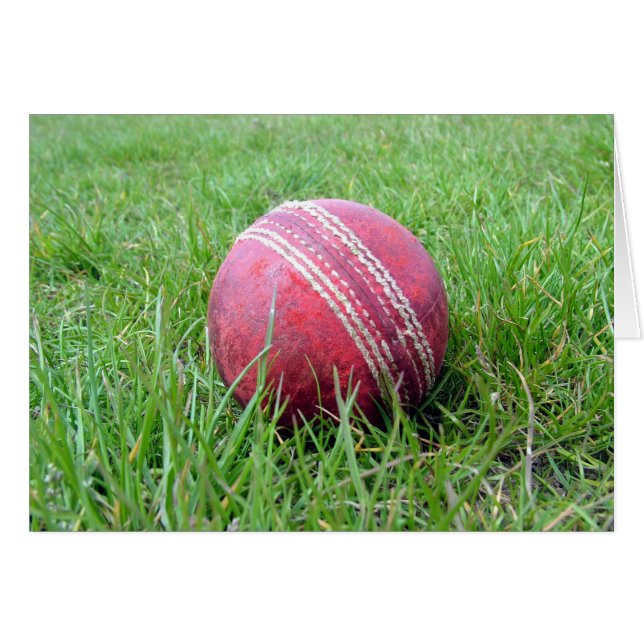Cricket Ball (Vorderseite (Horizontal))