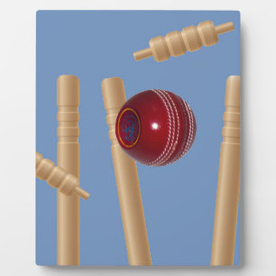 Cricket Ball und Stumps, Fotoplatte