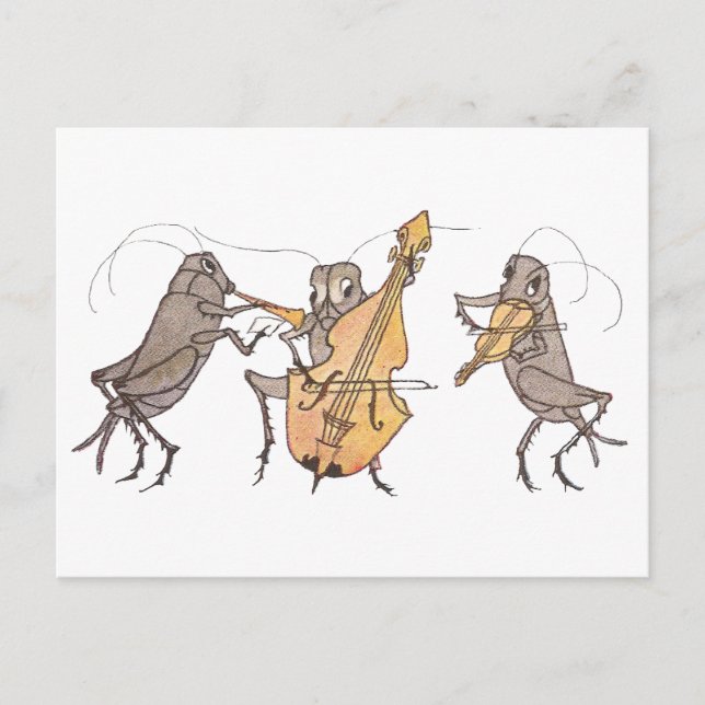 Cricket-Band mit Horn, Cello und Violine Postkarte (Vorderseite)