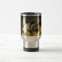 Cricket et tasse de Maybelline