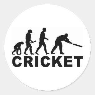 Cricket-Evolution Runder Aufkleber