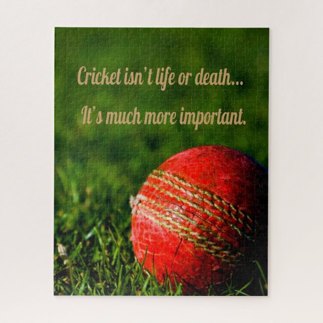 Cricket Red Ball Motivierend (Vertikal)