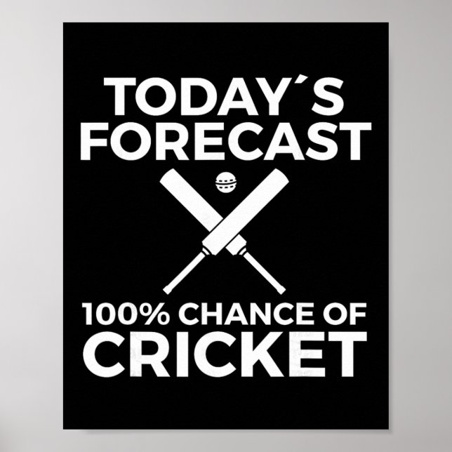 Cricket-Spieler  Poster (Vorne)