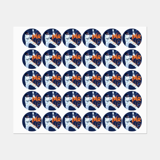 Cricket Stickers 2024 Etiketten (Blatt)