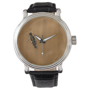 Cricket sur la montre-bracelet en verre