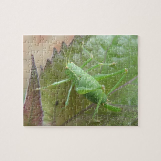 Cricket vert sur un puzzle de feuilles (Horizontal)