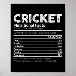 Cricketspieler-Geschenk für Männer  Poster