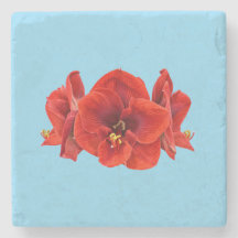 Crimson Amaryllis-Blüte – Elegante botanische Blüt
