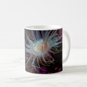 Crimson Anemone Tasse