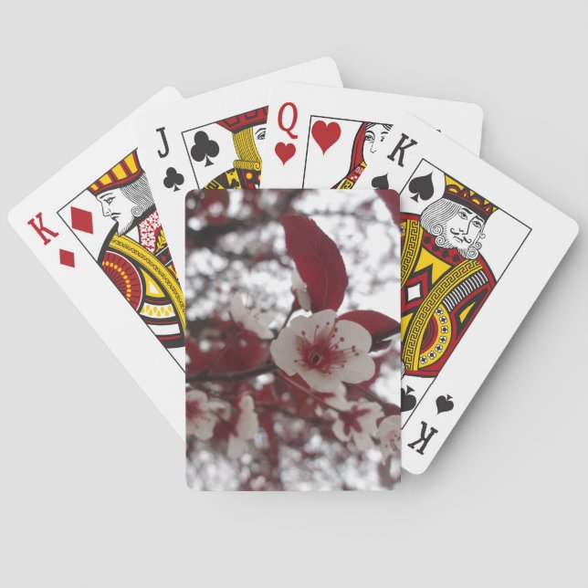 Crimson Beauty Cards Spielkarten (Rückseite)