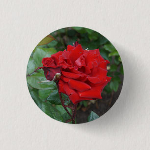 Crimson Bouquet Rose #2 Button